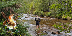 High Country Flyathlon - Howqua River