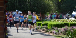 Jacaranda Festival River Run