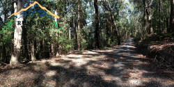 Kedumba Half Marathon