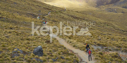 The Kepler Challenge & Luxmore Grunt