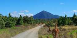 Kuranda to Port Douglas Trail Ultra Marathon