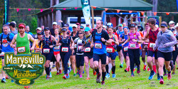 Marysville Marathon Festival