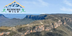 Narrow Neck Night Run