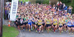 Newquay 10K Road Race