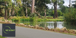 NZ 6 Day Ultra Marathon