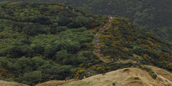 Nelson Mountain Running Festival