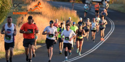 Orange Running Festival
