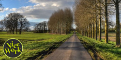Oundle 20 Mile, 10K & 5K