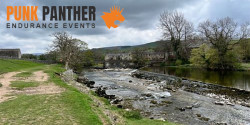 Dales Dazzler