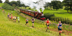 Race The Train Tywyn
