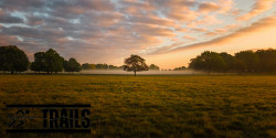 Richmond Park Trail Half Marathon