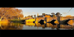 Ross Running Festival