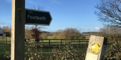 Sapiston 5K & 10K Trail Run