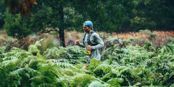 Run Forrest Trail Run