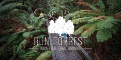 Run Forrest Half Marathon Trail Run