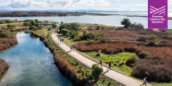 Runaway Hawke's Bay Marathon