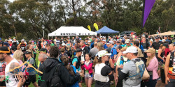 Wentworth Falls Trail Run
