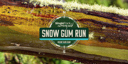 Baw Baw Snow Gum Run