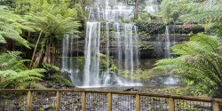 Russell Falls Trail Run