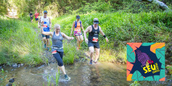 Trail running race on sale calendar