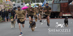 Shepherds Shemozzle