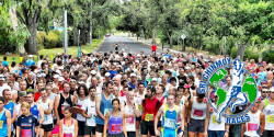 Sri Chinmoy Yarra Boulevard Half Marathon