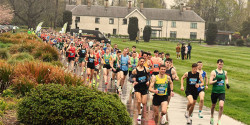 Streets of Killarney 5 Mile