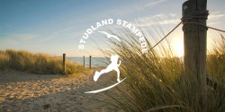 Studland Stampede