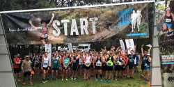 Sydney Trail Spring Series 3: St Ives