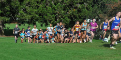 Te Awamutu Athletic Club Golf Course Fun Run