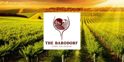 The Barodorf