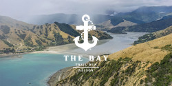 The Bay Trail Run