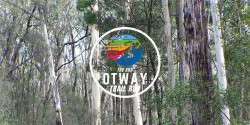 Otway Trail Run
