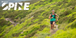 Montane Summer Spine