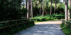 The Ultra Loop - Delamere