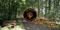 The Wallop 21K Trail Race