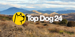 Top Dog 24 Adventure Race