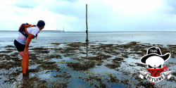 Saint Cuthbert's Way Ultra