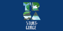 Sturt Gorge Trail Run