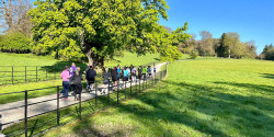 Trust10 Derrymore Run/Walk