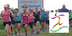 Milnes Beatson Motueka to Māpua Relay