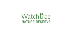 Watchtree Half Marathon