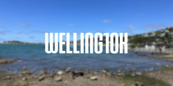 Welling10K