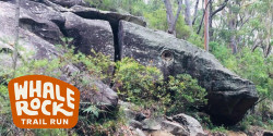 Whale Rock Trail Run