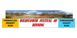 Wildflower Festival of Running: Turquoise Coast Run