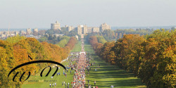 Windsor Half Marathon
