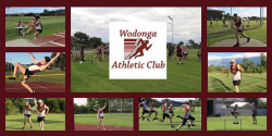 Wodonga 5km Handicap: Round 3