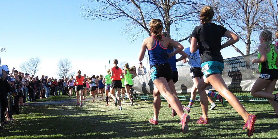 running calendar new zealand weekly newsletter