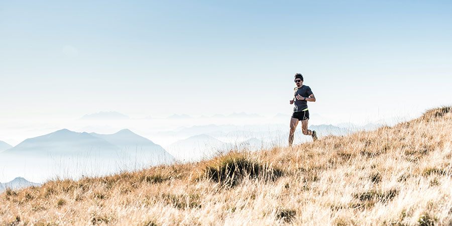 running calendar new zealand weekly newsletter