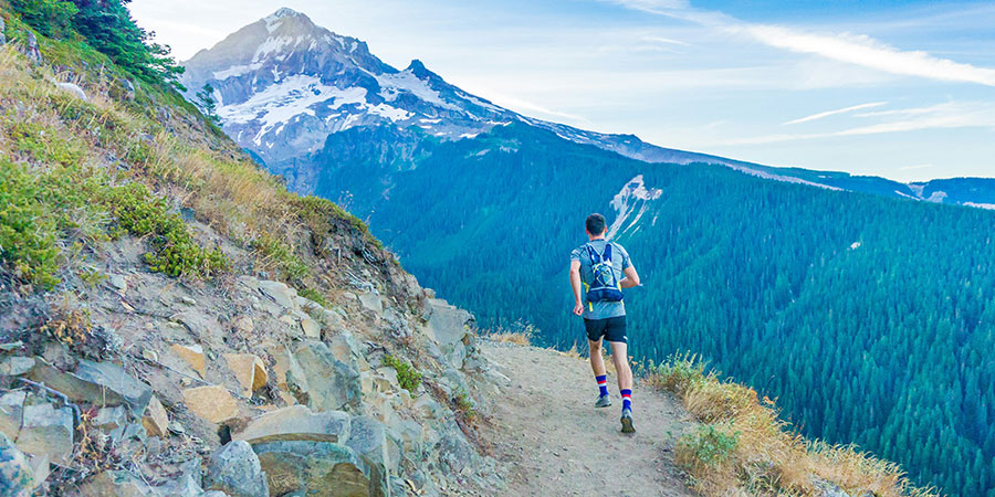 running calendar new zealand weekly newsletter